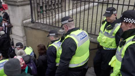 Police-Presence-at-Palestine-Israel-Protest