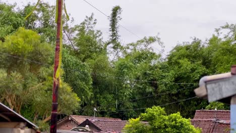 Fuerte-Viento-Bajo-La-Lluvia-Frente-A-La-Terraza-De-La-Casa