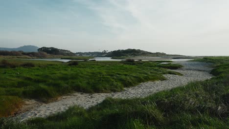 Serene-coastal-beach-dunescape-with-grassy-trails-in-Portugal