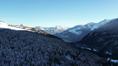 Obersee-Glarus-Switzerland-wide-smooth-view-of-Alps-and-forest-below