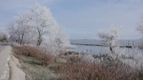 Árboles-Blancos-Esmerilados-Y-Río-Danubio-Durante-El-Invierno-En-La-Ciudad-De-Galati,-Rumania.