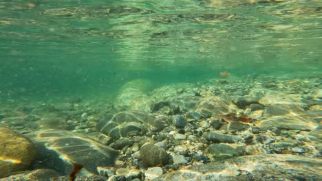 Unterwasseraufnahme-Von-Sediment,-Das-Durch-Den-Skykomish-River-In-Washington-Fließt