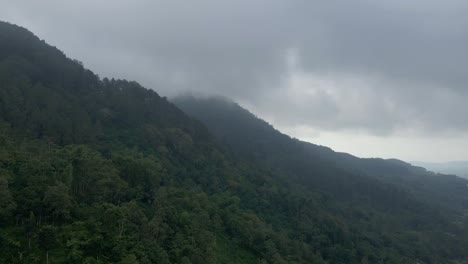 Aerial-view-of-mountain-forest-shrouded-by-mist