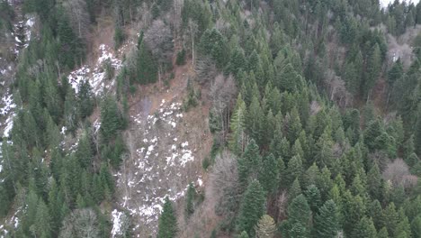 Fronalpstock-Glarus-Switzerland-aerial-flight-close-towards-mountain-forest-trees