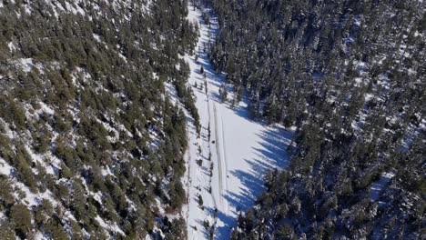 View-of-a-snowy-landscape-among-the-trees-from-the-top-of-the-mountain