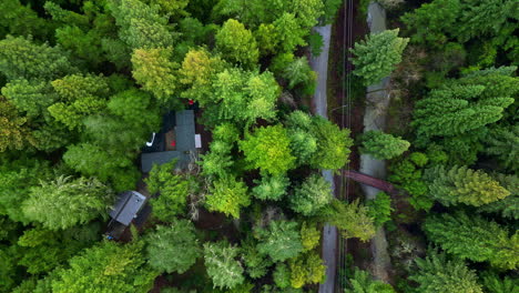 Aerial-tall-spruce-tree-drop-down-view-cabin-in-the-woods-forest-nature