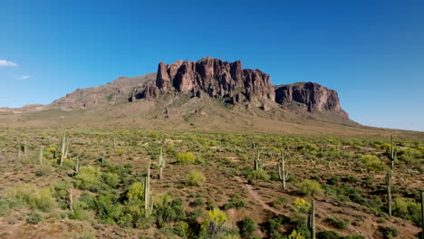 Saguaro-cactus-and-yellow-shrubs-line-thin-sandy-hiking-trail-leading-to-base-of-Superstition-Mountains-Arizona