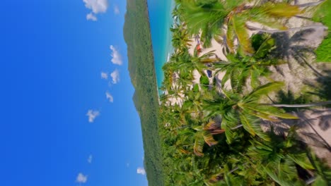 Scenic-Caribbean-beach-lined-with-palm-trees-and-azure-waters,-vertical-FPV