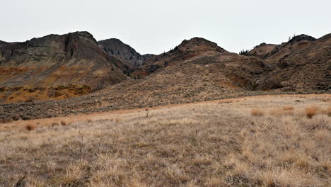 Cinnamon-Ridge's-Grassland-Tapestry-in-Kamloops
