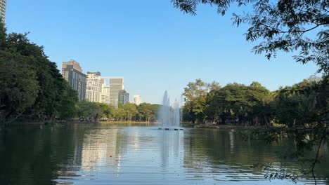 Erholungsgebiet-Lumpini-Park-See-Grünfläche-Im-Zentrum-Von-Bangkok,-Thailand