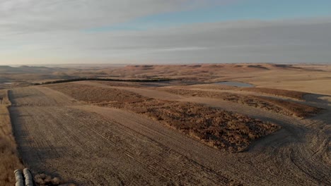 Milo-Field---Sorghum-Field-Ready-For-Harvest-In-South-Dakota