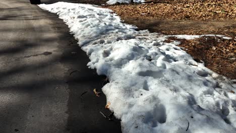 A-plow-made-snow-bank-melting-on-a-warm-day