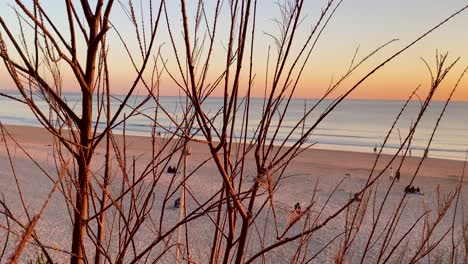 Seascape-with-shrubs-and-people-walking-and-playing-with-animals