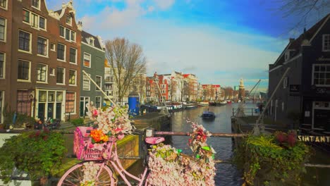 Amsterdam-pink-bike-decorated-with-flowers-standing-on-bridge-above-canal-in-historic-city-centre