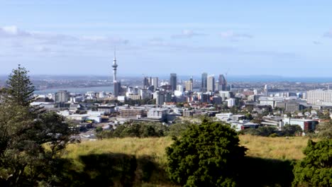 Handheld-video-shot-of-the-skyline-of-Auckland,-New-Zealand,-as-seen-from-Mount-Eden-volcano-in-the-city,-with-various-trees-and-vegetation-in-view-on-a-clear-and-blue-day