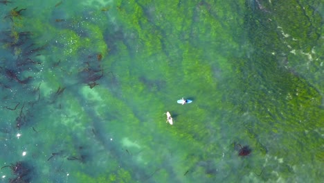 4K-Birds-Eye-View-of-Surfers-in-Laguna-Beach,-California-with-Crystal-Clear-Water-on-a-Warm-Sunny-Day-under-a-reef