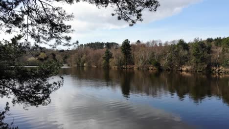 Calm-Reflective-Squabmoor-Reservoir-Located-In-Woodbury-Common,-East-Devon