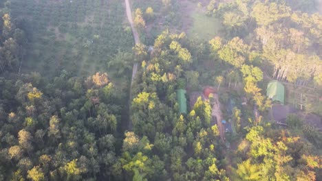 Morgennebel-über-Waldgipfeln-In-Chiang-Dao