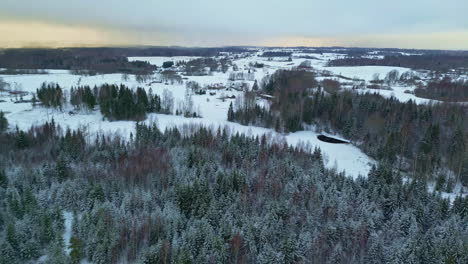 Aerial-drone-forward-moving-shot-over-snow-covered-plains-alongside-coniferous-forest-on-a-cold-winter-day