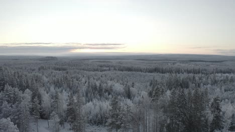Verschneite-Winterlandschaft-Im-Norden-Schwedens
