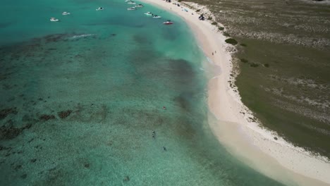 Four-people-snorkel-caribbean-sea,-Aerial-top-down-tilt-up-reveal-scene-paradise