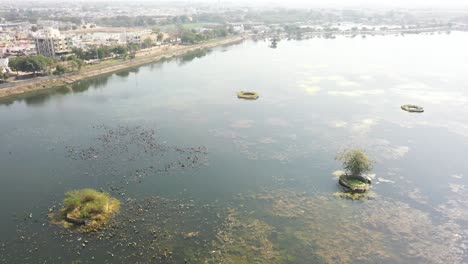 Aerial-drone-view-drone-camera-forward-many-birds-are-flying-in-the-water-big-houses-are-visible-around,-Samantsar-Lake,-Halvad-Palace,-Morbi