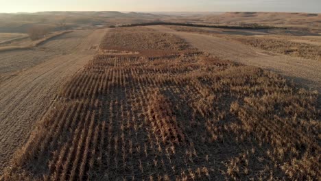 Vista-Aérea-Del-Campo-Milo-Cerca-De-Dallas-En-Dakota-Del-Sur