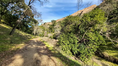 Walking-Through-a-Park-Along-a-Trail-Surrounded-by-Trees-in-a-Valley-with-a-Stream-Nearby