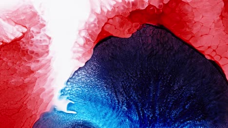 Tinta-Roja-Y-Azul-Fusionándose-En-Agua,-Creando-Un-Patrón-Artístico-Abstracto-Y-Fluido