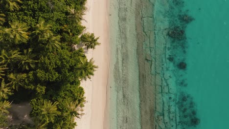 Vertikale-Aufnahme-Der-Insel-Rasdhoo-Auf-Den-Malediven-Mit-Wunderschönen-Stränden-In-Türkis