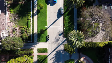 Birds-eye-view-of-glamorous-palm-tree-lined-Los-Angeles-neighborhood