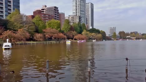 Sección-Pintoresca-Del-Estanque-En-El-Parque-Ueno,-Oficialmente-&quot;Parque-De-Regalos-Imperial-Ueno&quot;,-El-Parque-Urbano-Más-Popular-De-Japón