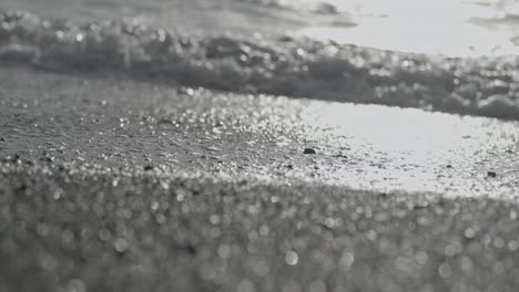 Close-up-of-baby-turtles-reaching-the-sea,-glistening-black-sand,-daylight