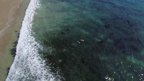 Atemberaubende-Luftaufnahme-Von-Surfern-In-Laguna-Beach,-Kalifornien-Mit-Kristallklarem-Wasser-Im-Pazifischen-Ozean-4k
