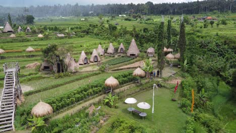 Cabañas-Con-Techo-De-Paja-En-Un-Campamento-De-Glamping-En-Medio-De-Campos-Verdes-En-El-Alojamiento-Turístico-Del-Valle-De-Maha-Gangga