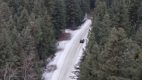 Solitary-Travels:-Amongst-the-Whispering-Pines-in-Snow