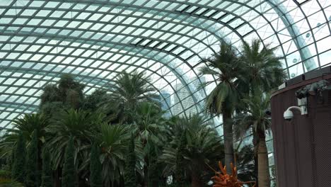 Flower-Dome-conservatory-at-Gardens-by-the-bay-during-Lunar-new-year-with-dragon-themed-sculptures-decoration-on-display,-static-shot-capturing-people-visiting-world-largest-glass-greenhouse