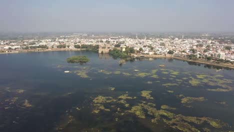 Aerial-drone-view-moving-forward-where-all-the-birds-are-flying-over-and-around-the-big-tree,-Samantsar-Lake,-Halvad-Palace,-Morbi