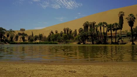 Lago-Oasis-De-Huacachina-Con-ángulo-Bajo-Con-Vistas-A-Palmeras-Y-Dunas-De-Arena-Al-Fondo