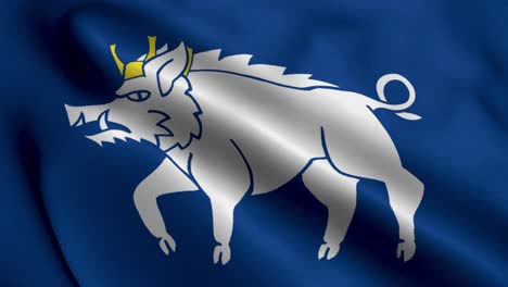 Kingswinford-City-Flag