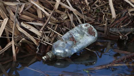 Eine-Weggeworfene-Plastikwasserflasche,-Die-Zwischen-Der-Vegetation-Am-Rande-Eines-Teiches-Schwimmt