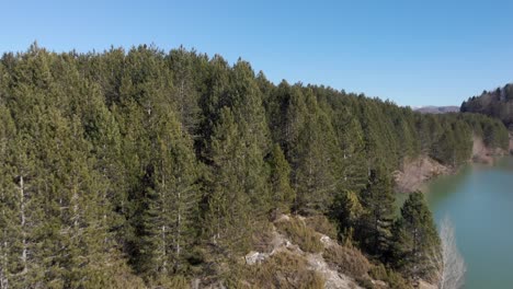 Luftaufnahme-über-Nadelbäumen,-Die-Den-Aoos-Frühlingssee-In-Epirus,-Griechenland-Offenbaren