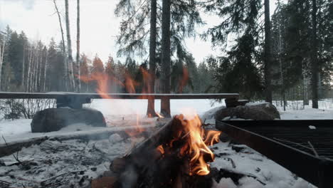 Orange-flames-of-winter-campfire-centered-in-frame,-northern-forest