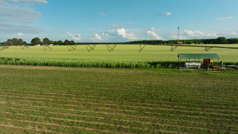 Rural-Arkansas-farmland-with-small-barn,-expansive-fields-under-sunny-skies,-aerial-side-view