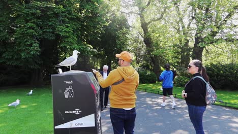 Couple-stop-their-walk-and-take-a-shot-of-a-seagull-sitting-on-a-garbage-bin-at-St