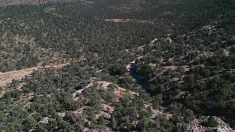 Exuberante-Vegetación-Verde-Y-Montañas-En-El-Valle-De-Lucerna-En-California,-EE.UU.---Disparo-De-Drones