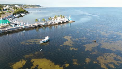 Aerial-drone-view-of-Campeche-seashore-where-pelicans-sit-in-an-old-colourful-boat