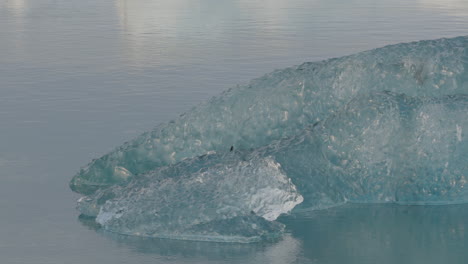 Close-up-of-glaciers-floating-in-the-icy-waters-of-Jökulsárlón-Glacier-Lagoon-in-Iceland