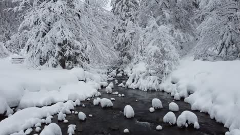 Pedestal-Desde-Un-Río-Frío-Hasta-árboles-Nevados