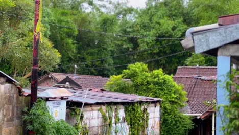 Regen-Auf-Dem-Indonesischen-Land